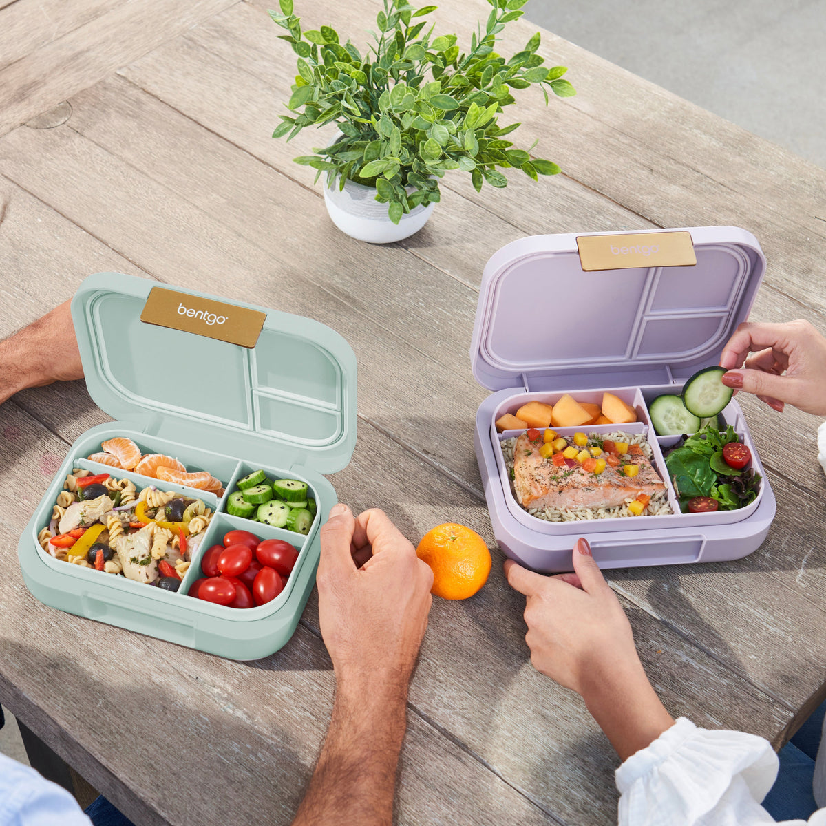 bentgo-modern-lunch-box-2-pack-z8 COSTCOBMCPRODUCTIMAGE_2.jpg